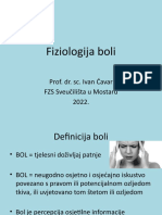 Fiziologija Boli 6