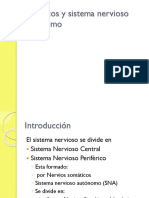 Sistema Nervioso Autonomo Nuevo PDF