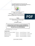 Étude Du Rôle de Quelques Plantes Graminées Et Légumineuses Dans La Phytoremédiation Des Sols Pollués Par Les Hydrocarbures