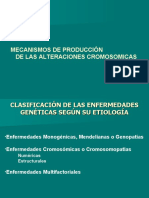 Cromosomopatías: clasificación y mecanismos de producción