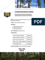 Inventario y Marcado de Árboles para El Raleo en Plantaciones Forestales