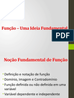 Funcao 2013 Uma Ideia Fundamental