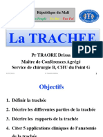 La Trachee 2021