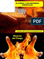 El Fuego y Los Incendios Forestales