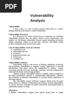 Vulnerability Analysis