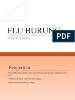 FLU BURUNG DAN PENCEGAHANNYA