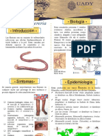 Parasitología atlas 