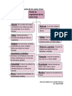 Niveles de organizacion de los seres vivos