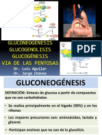 Gluconeogenesis Glucogenolisis