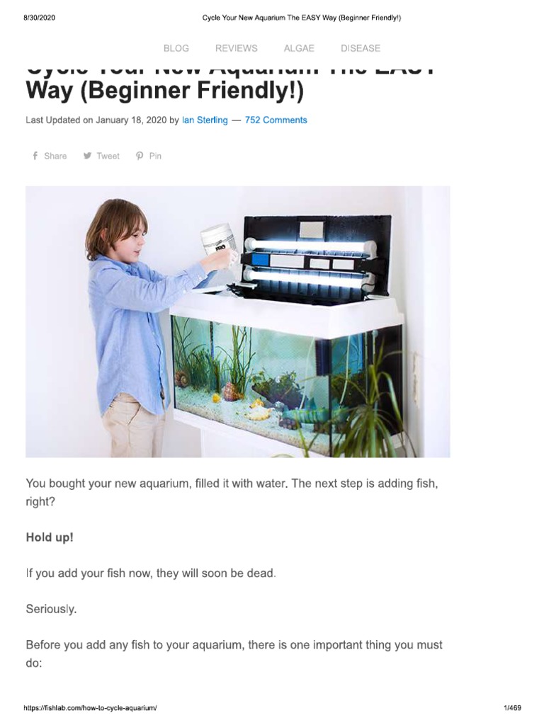 Aquarium Cycle For Specific Fish And Equipment preview