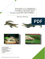INTRODUCCIÓN A LA TENENCIA DE "COCODRILO DE PANTANO" (Crocodylus Moreletii) EN CAUTIVERIO.