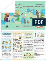 Protocolo Envenenamiento Perros Castellano Def