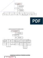 Struktur Organisasi