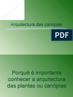 VI. Arquitectura Das Canopias - 2020