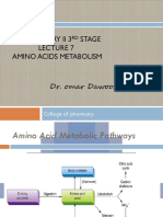 Lec 7 Amino Acid Metabolic Pathways
