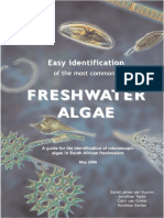 Easy Identification of The Most Common Freshwater Algae