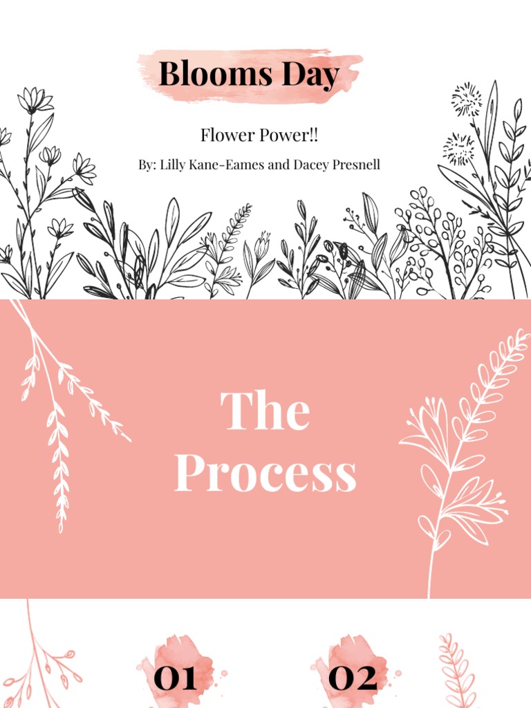 Soapmaking Project Download Free PDF Soap Sodium Hydroxide