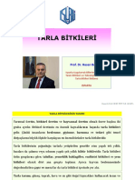 Tarla Bi̇tki̇leri̇