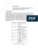 kyne Ive Mazuran Osnivanje Vojne Granice PDF | PDF