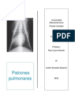 MVZ Patrones - Pulmonares Ixchel - Alvarado.6a