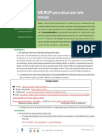 6.6 E MEROP para Alcanzar Mis Metas