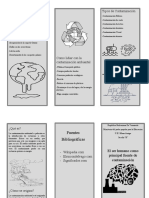 Triptico Reto Cientifico