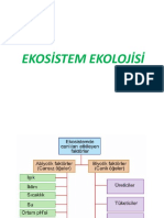 Ekosi̇stem Ekoloji̇si̇ 1