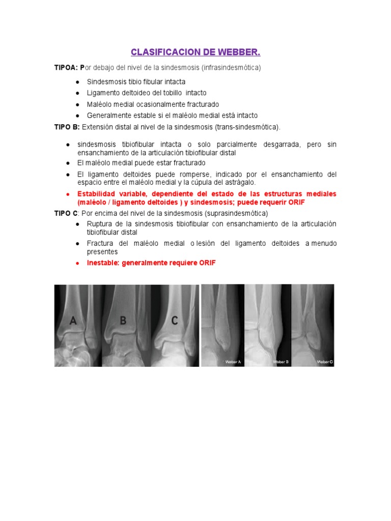 Clasificación de Weber en fracturas | PDF | Sistema musculoesquelético ...