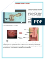 3C 05-08 1 Citología - Dávila