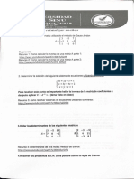 Documento Escaneado