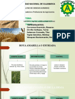 PRINCIPALES FITOENFERMEDADES EN TRIGO