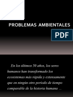 Problemas Ambientales