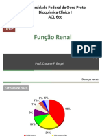 Função Renal - 2