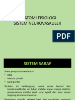 Anfis Neurovaskuler