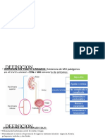 Ivus Emb PT 1