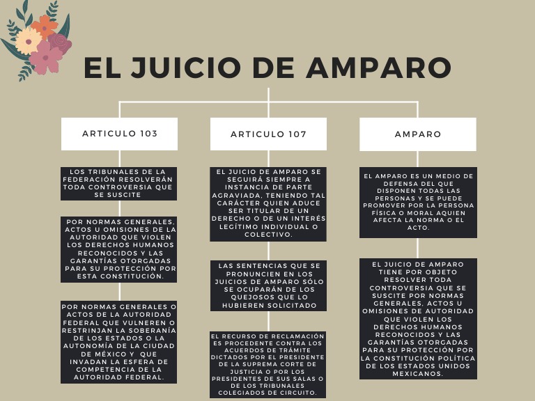 Juicio de Amparo | PDF | Instituciones sociales | Principios éticos