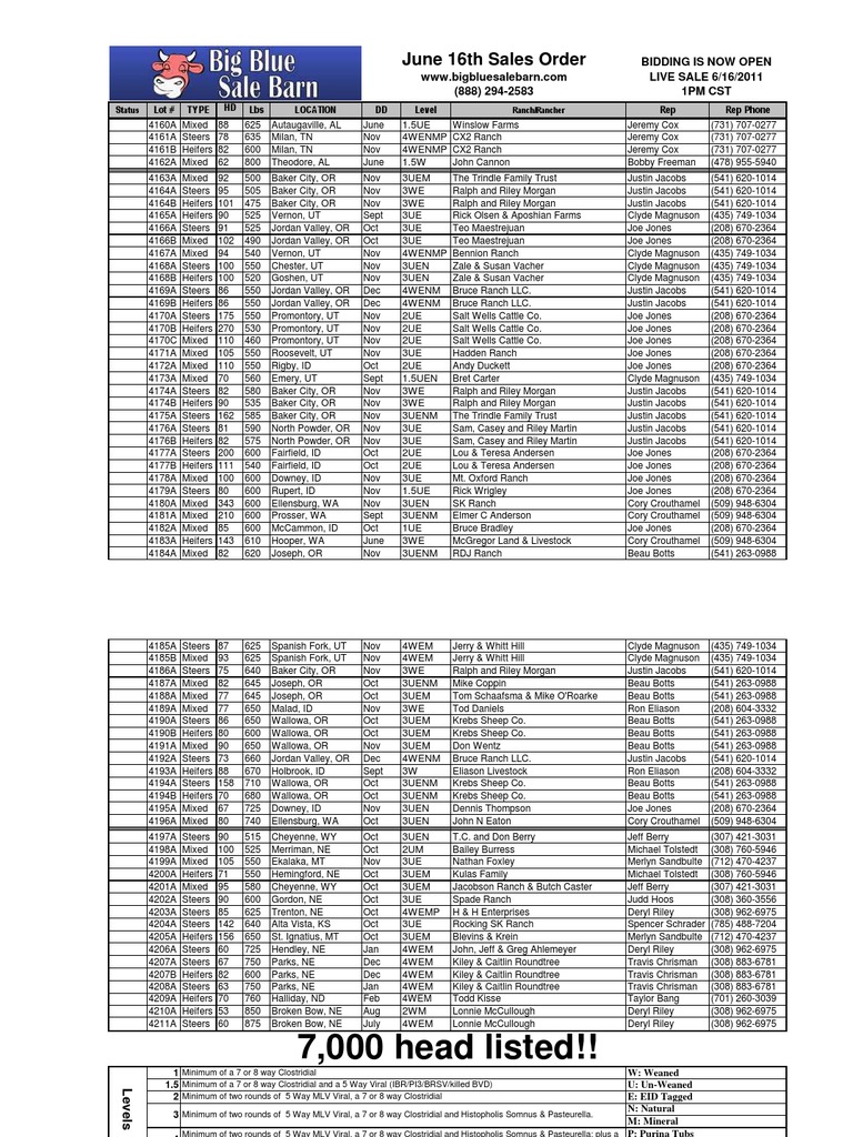 June 16th Sales Order | PDF