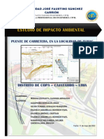 Estudio de Impacto Ambiental