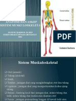 Sistem Muskuloskeletal