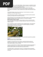 Desenvolvimento Sustentavel