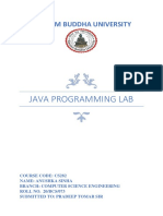 Java Programming Lab: Gautam Buddha University
