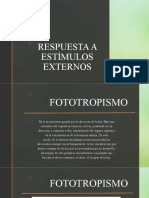 Respuesta A Estìmulos Externos