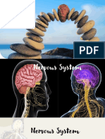 Week-3 Q3 Homeostasis