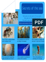 Reading 6 (3r) Secrets of The Sea