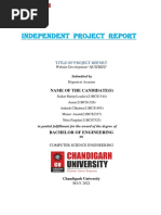 Project Report Final