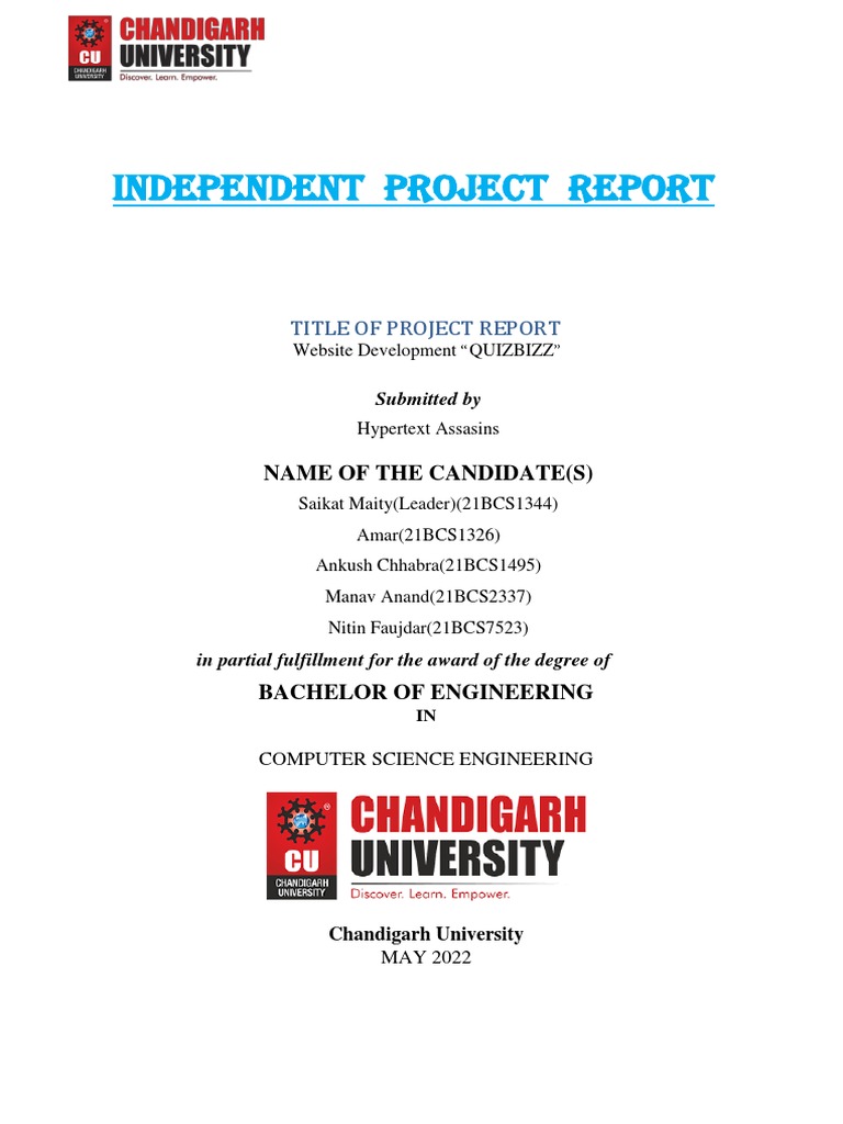 Project Report Final | PDF | Unit Testing | Html