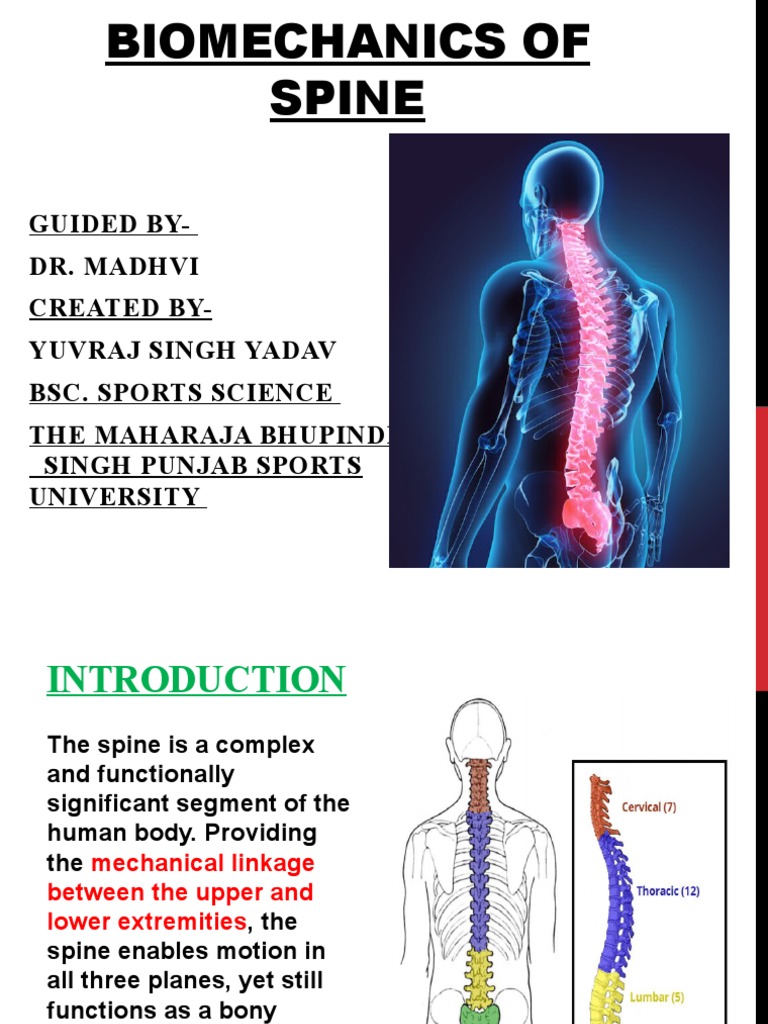 Biomechanics of Spine | PDF | Vertebral Column | Vertebra