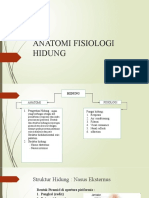 Anatomi Fisiologi Hidung