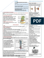 Bitkilerin Yapısı
