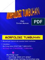 Kuliah Morfologi Daun